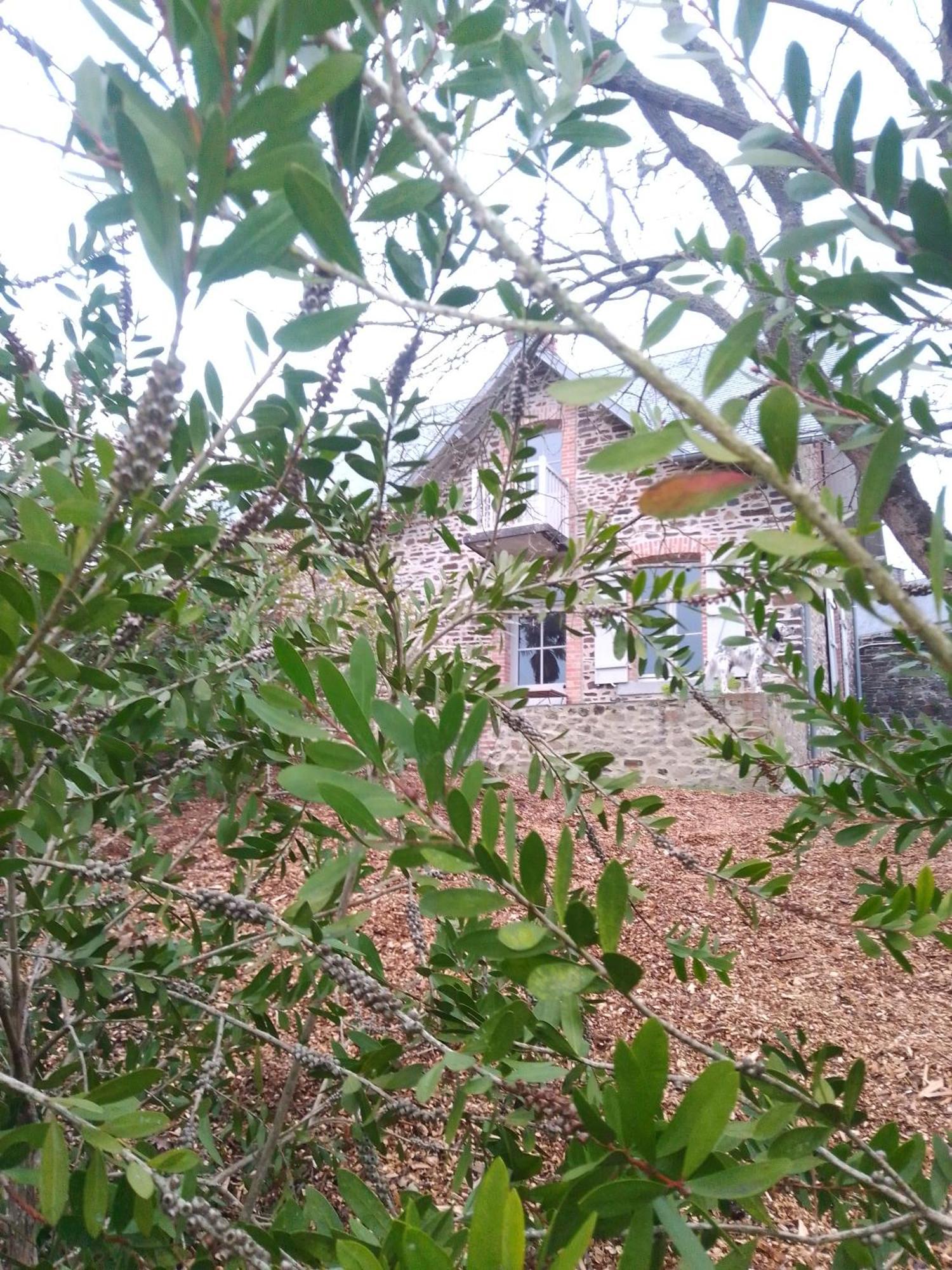 Domaine Le Gaudin - Saint Jean Le Thomas Villa Habitación foto